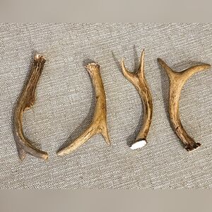 Deer Antlers Dog Chews Bones for Small - Medium Size Dogs